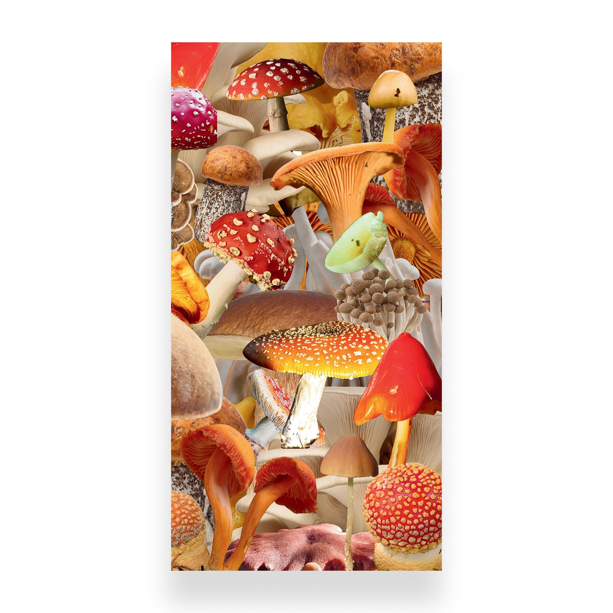 A tall rectangular art print or poster featuring a dense, colorful collage of mushrooms in red, orange, yellow, brown, and white tones, shown against a light gray background.