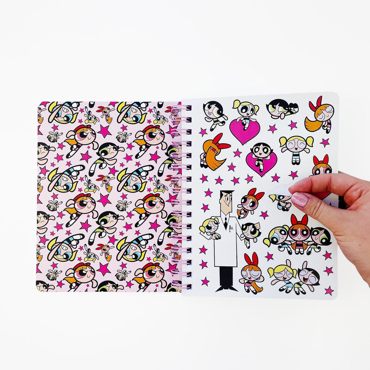The Powerpuff Girls X Pipsticks Stationery Box