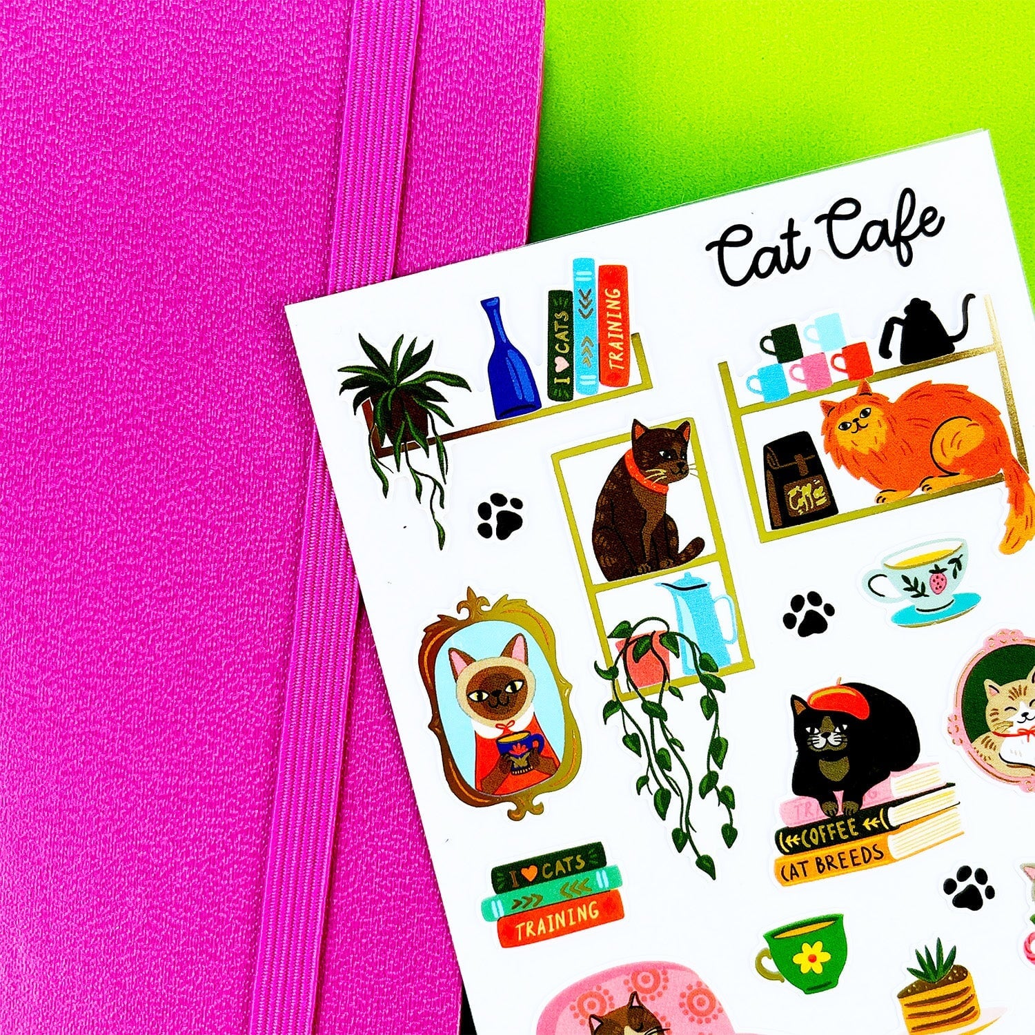 Cat Cafe