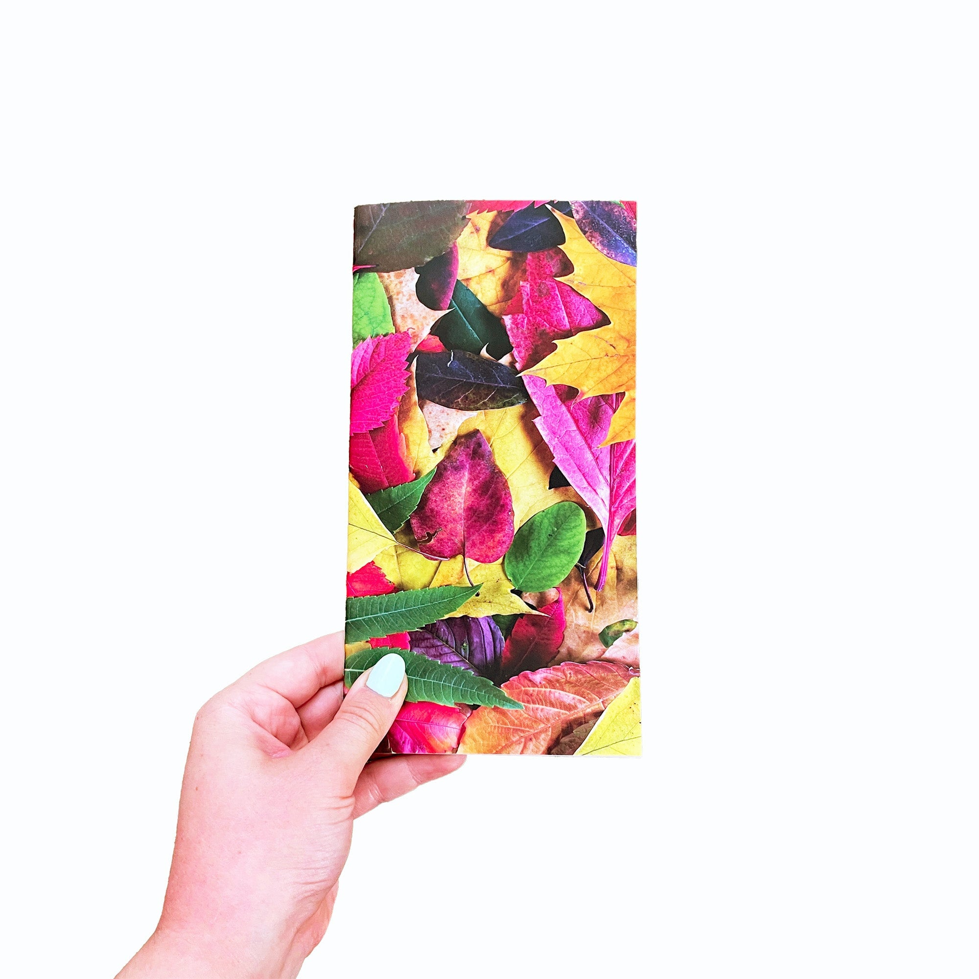 Falling Foliage Travelers Notebook