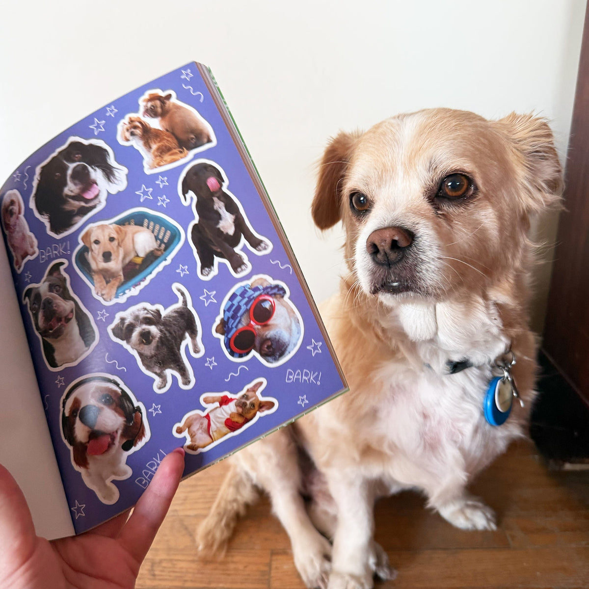 Dog-gone Adorable Dog Sticker Book