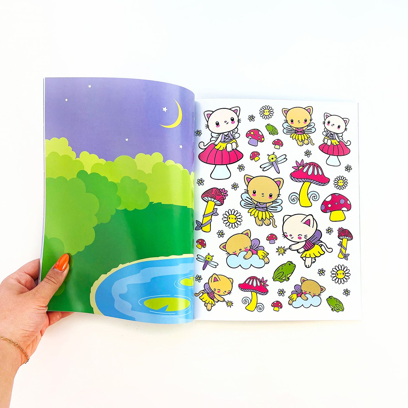 Draw Along Books